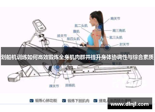划船机训练如何高效锻炼全身肌肉群并提升身体协调性与综合素质